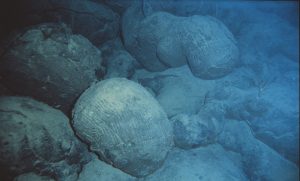 Pillow lavas